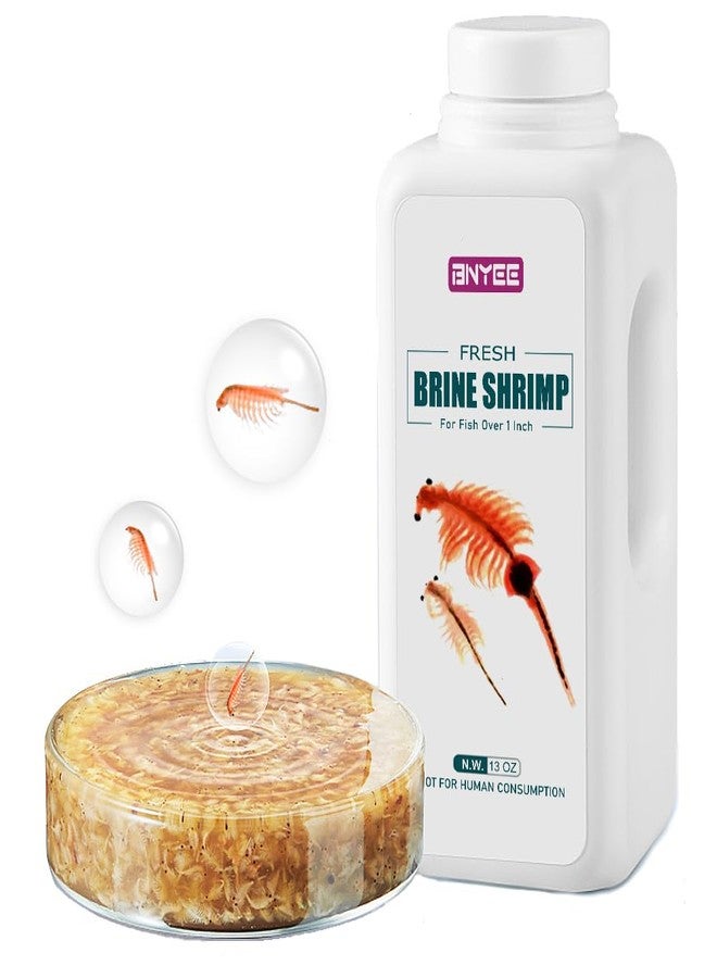 BNYEE Fresh Brine Shrimp Fish Food - Adult Non-Living Shrimp for Fish Over 1 Inch - Image 1
